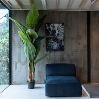 Banano de 240 cm Home