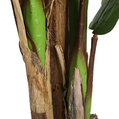 Imagen 2 del producto Banano de 240 cm Home