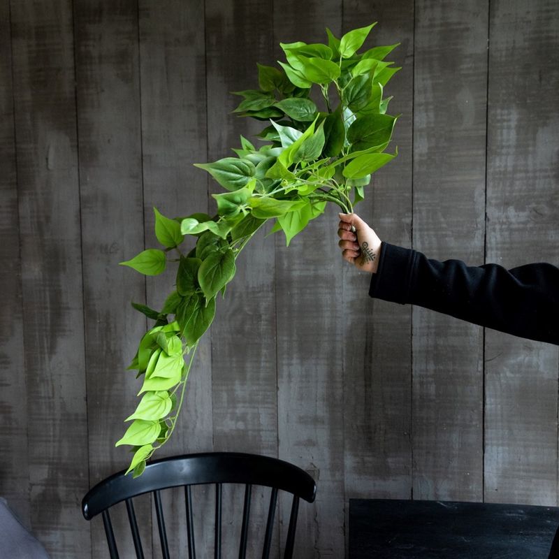 VADELL - Enredadera colgante con 166 hojas verdes de 75 cm Vadell Home