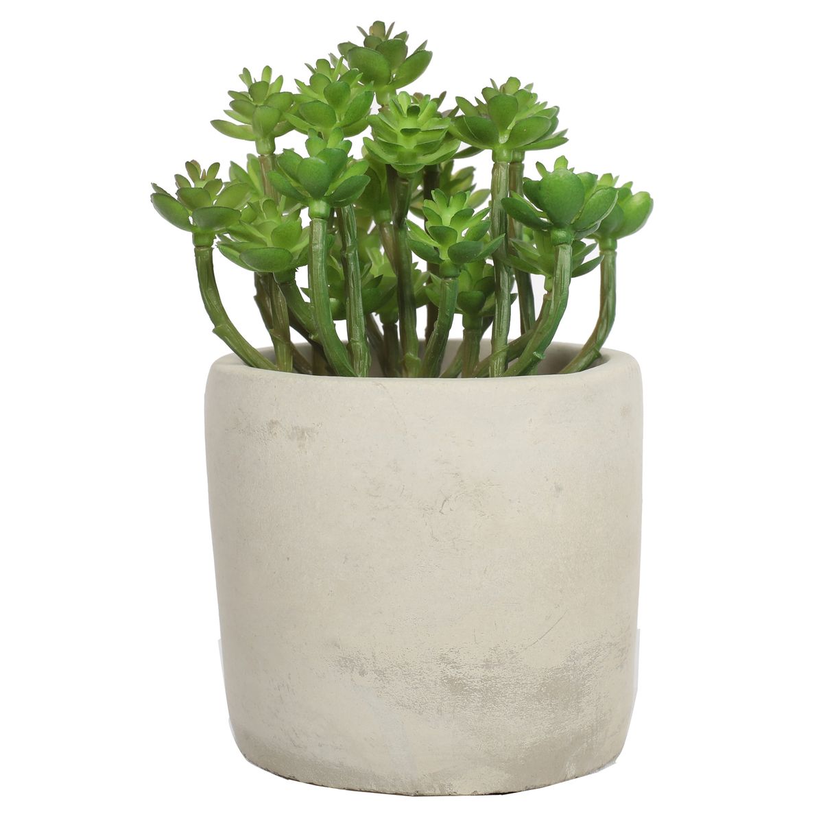 VADELL - Suculentas 15 cm, con macetero Vadell Home