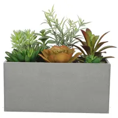 VADELL - Suculentas 20 cm con macetero rectangular Home