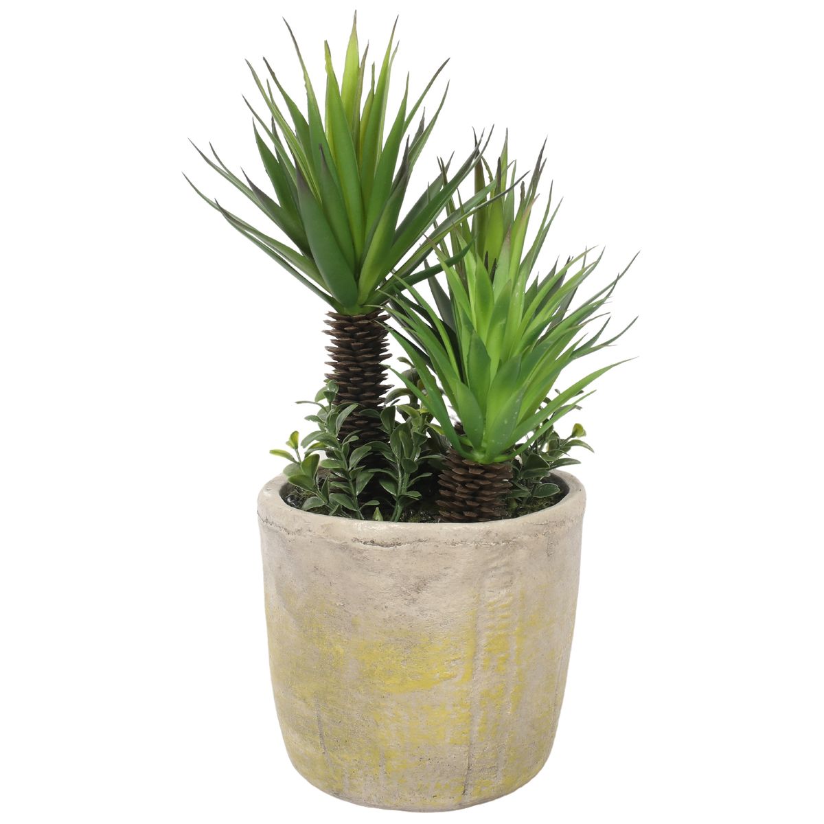 VADELL - Suculentas 35 cm, con macetero Vadell Home