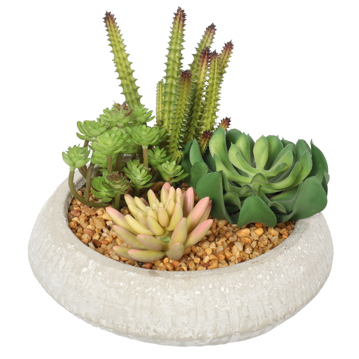 VADELL - Suculentas de 17 cm con macetero Vadell Home