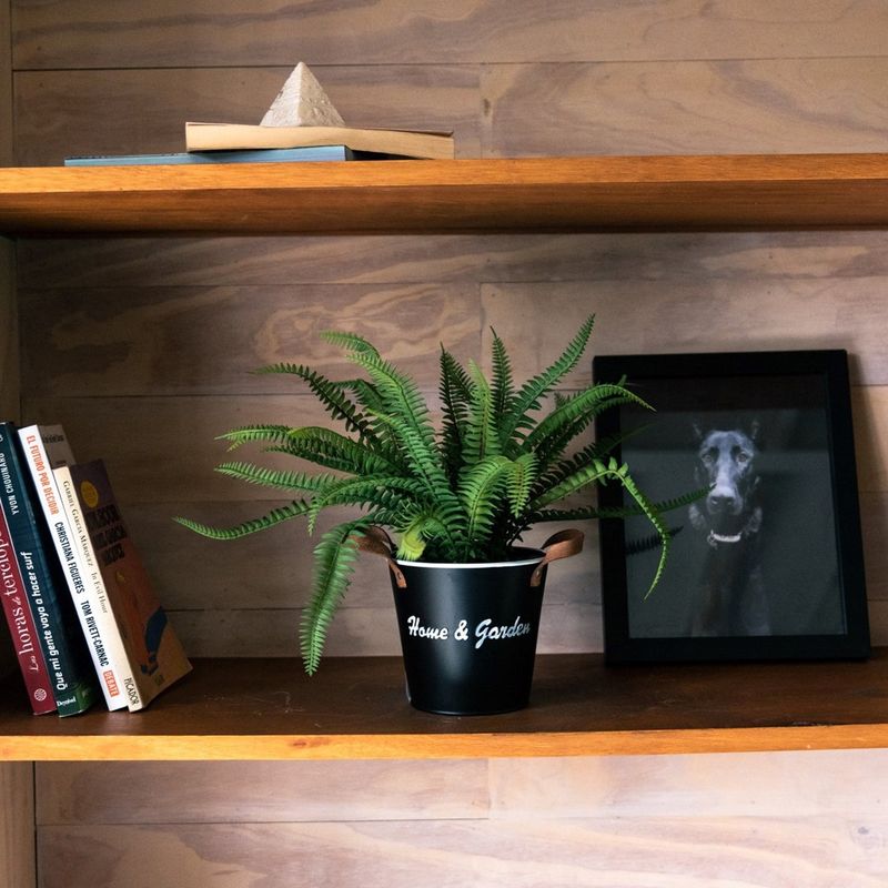 VADELL - Helecho de 30 cm con macetero Vadell Home