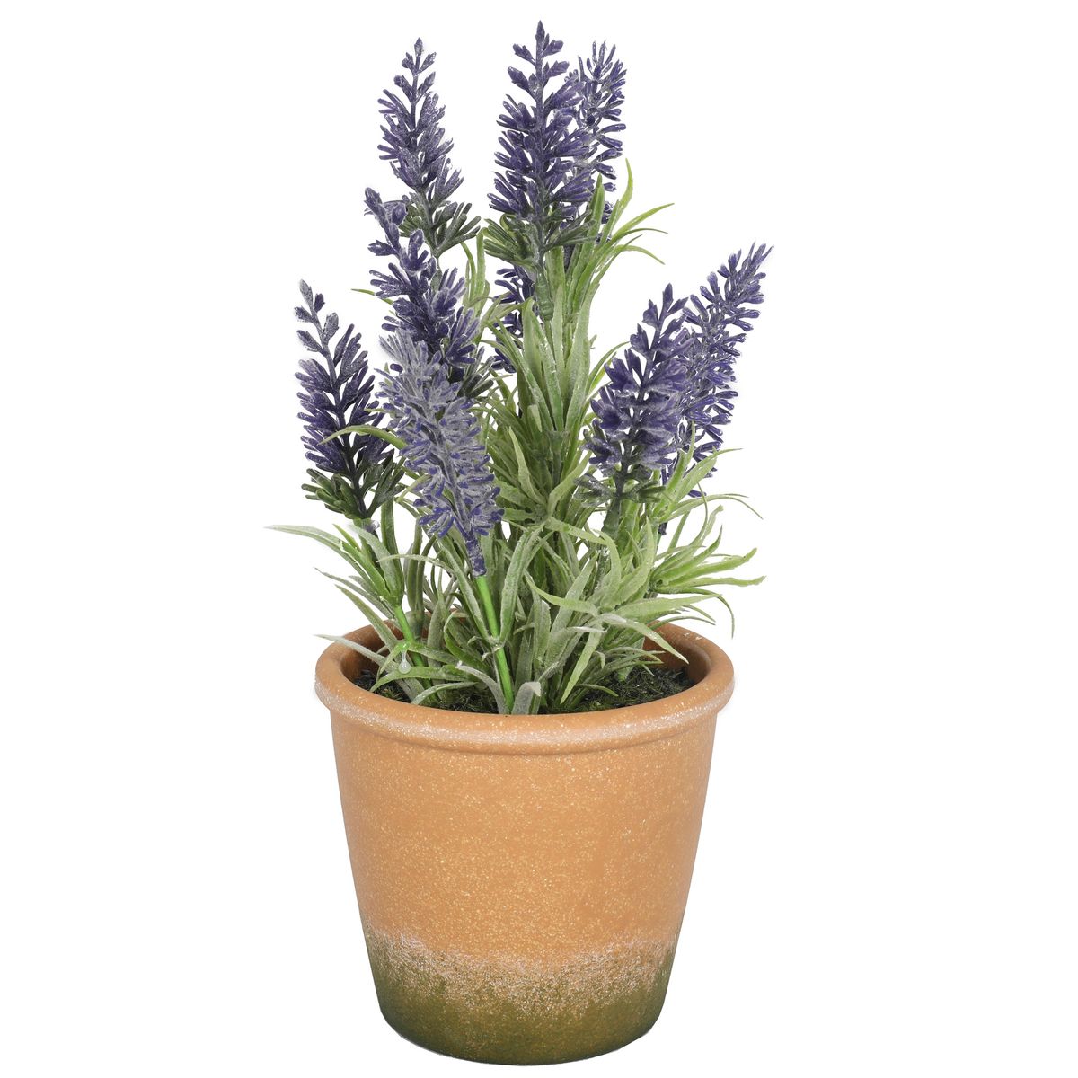 VADELL - Mini Lavanda morada de 25 cm con macetero Vadell Home