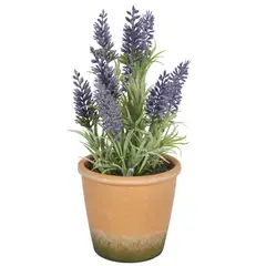 VADELL - Mini Lavanda morada de 25 cm con macetero Home