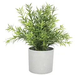 VADELL - Romero de 20 cm con macetero Home