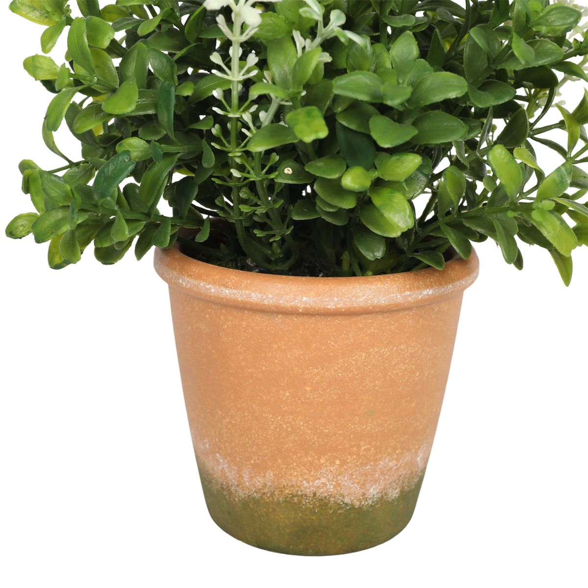 VADELL - Boj con flores blancas de 22 cm con macetero Vadell Home