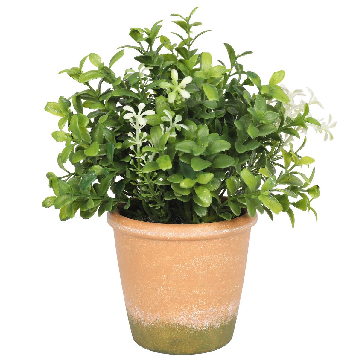 VADELL - Boj con flores blancas de 22 cm con macetero Vadell Home