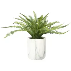 VADELL - Helecho silvestre de 30 cm, con macetero Home