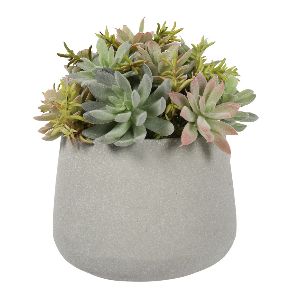 VADELL - Suculenta Bonsai de 23 cm, con macetero de cemento Vadell Home