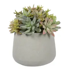 VADELL - Suculenta Bonsai de 23 cm, con macetero de cemento Home