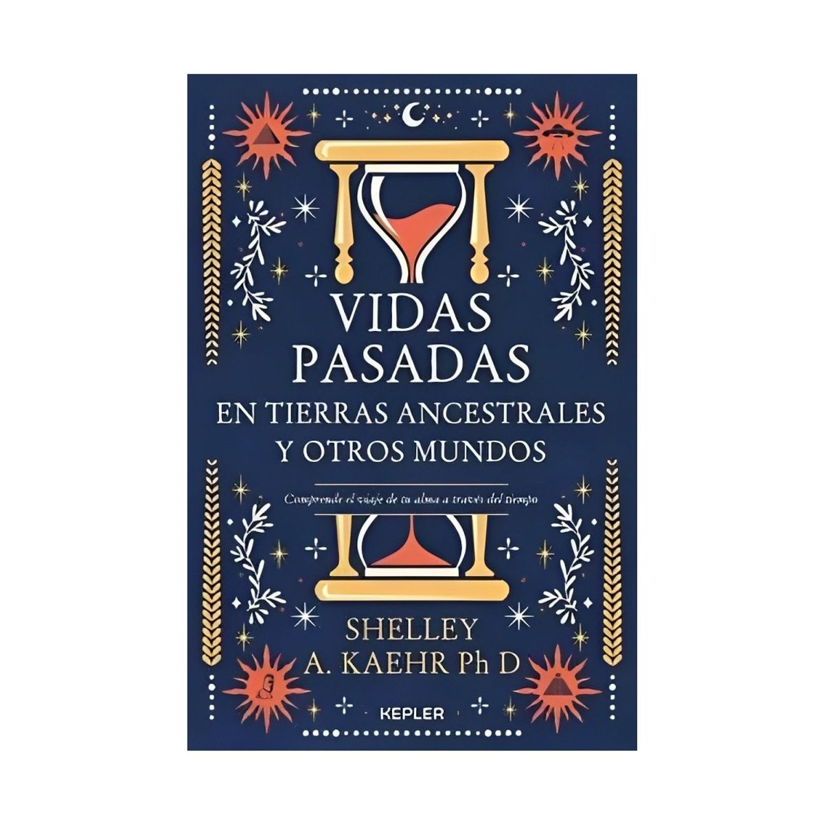 TOP10BOOKS - LIBRO Vidas Pasadas En Tierras Ancestrales Y Otros Mundos