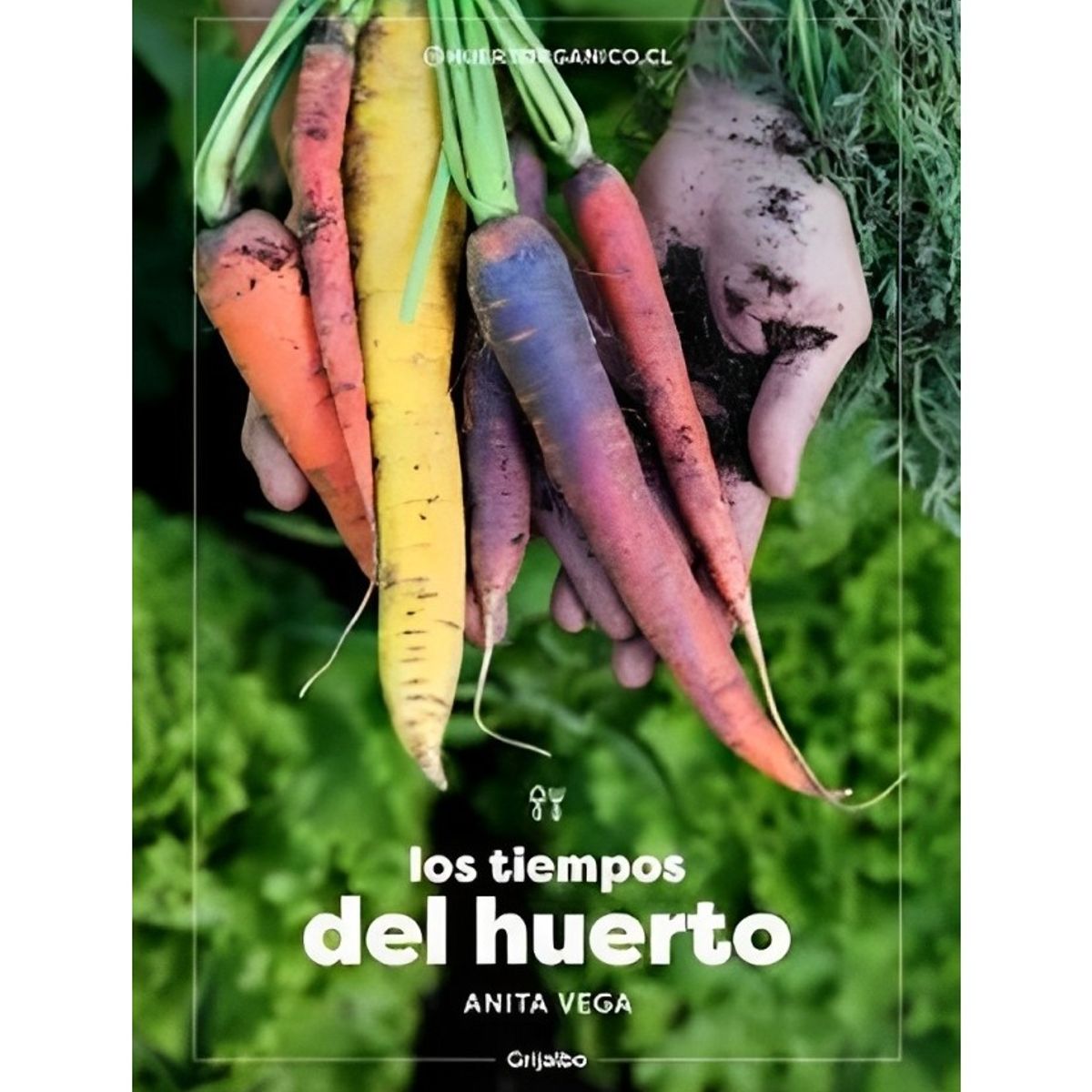TOP10BOOKS - LIBRO Los Tiempos Del Huerto - Los Tiempos Del Huerto