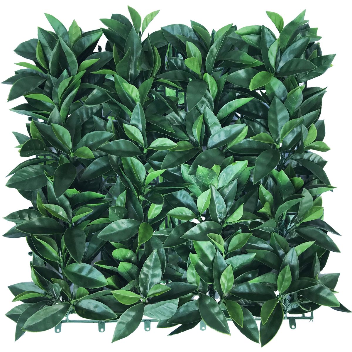 VADELL - Pasto Mural Premium Verde 50 x 50 cm con Protección UV Vadell Home
