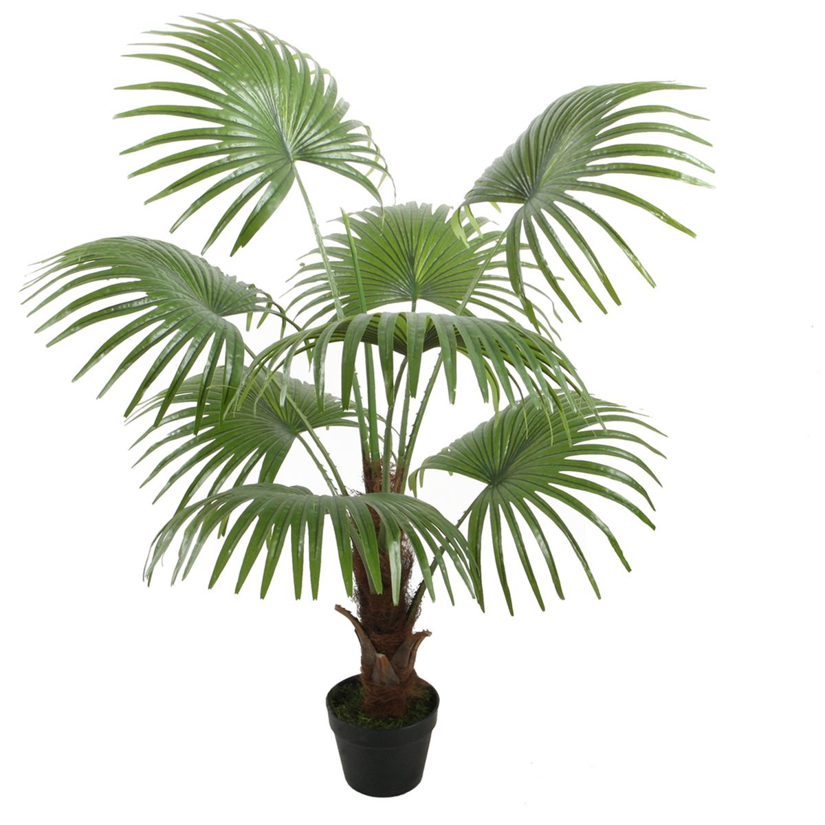 VADELL - Palmera Abanico de 120 cm Vadell Home