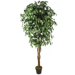 VADELL - Ficus Benjamina de 180 cm con doble tronco de madera Home