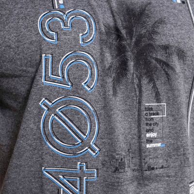 Imagen 2 del producto Plus Polera Mc Básica 4053G Gris