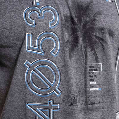 Imagen 2 del producto Plus Polera Mc Básica 4053G Gris