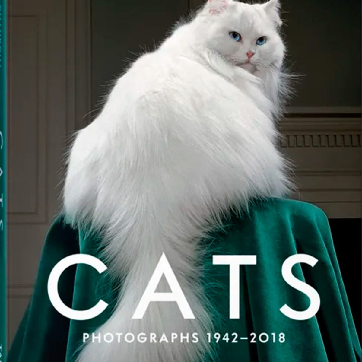 TASCHEN - Walter Chandoha. Cats. Photographs 1942–2018 - Taschen