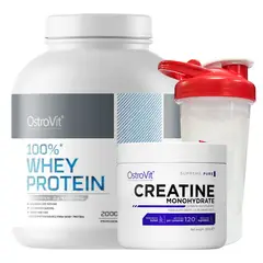 OSTROVIT - 100% Whey Protein 2000gr Strawberry + Creatina 300gr + shaker 750ml - Ostrovit.