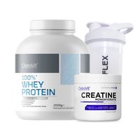 100 Whey Protein 2000g White Chocolate Creatina 300g shaker 750ml -