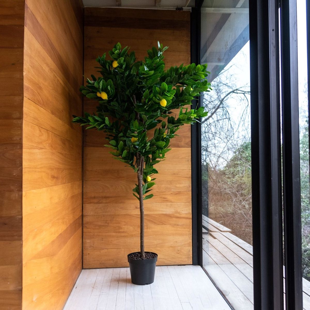 VADELL - Arbol Limonero de 190 cm Vadell Home