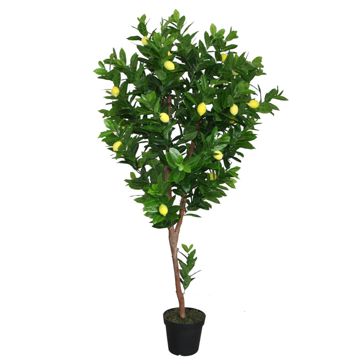 VADELL - Arbol Limonero de 190 cm Vadell Home