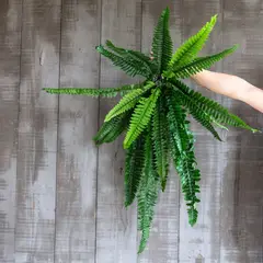 VADELL - Helecho Boston de 85 cm Home