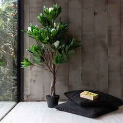 VADELL - Arbol de Magnolio blanco de 130 cm Home