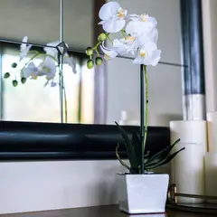VADELL - Orquídea blanca 51 cm en macetero cuadrado de cerámica Home