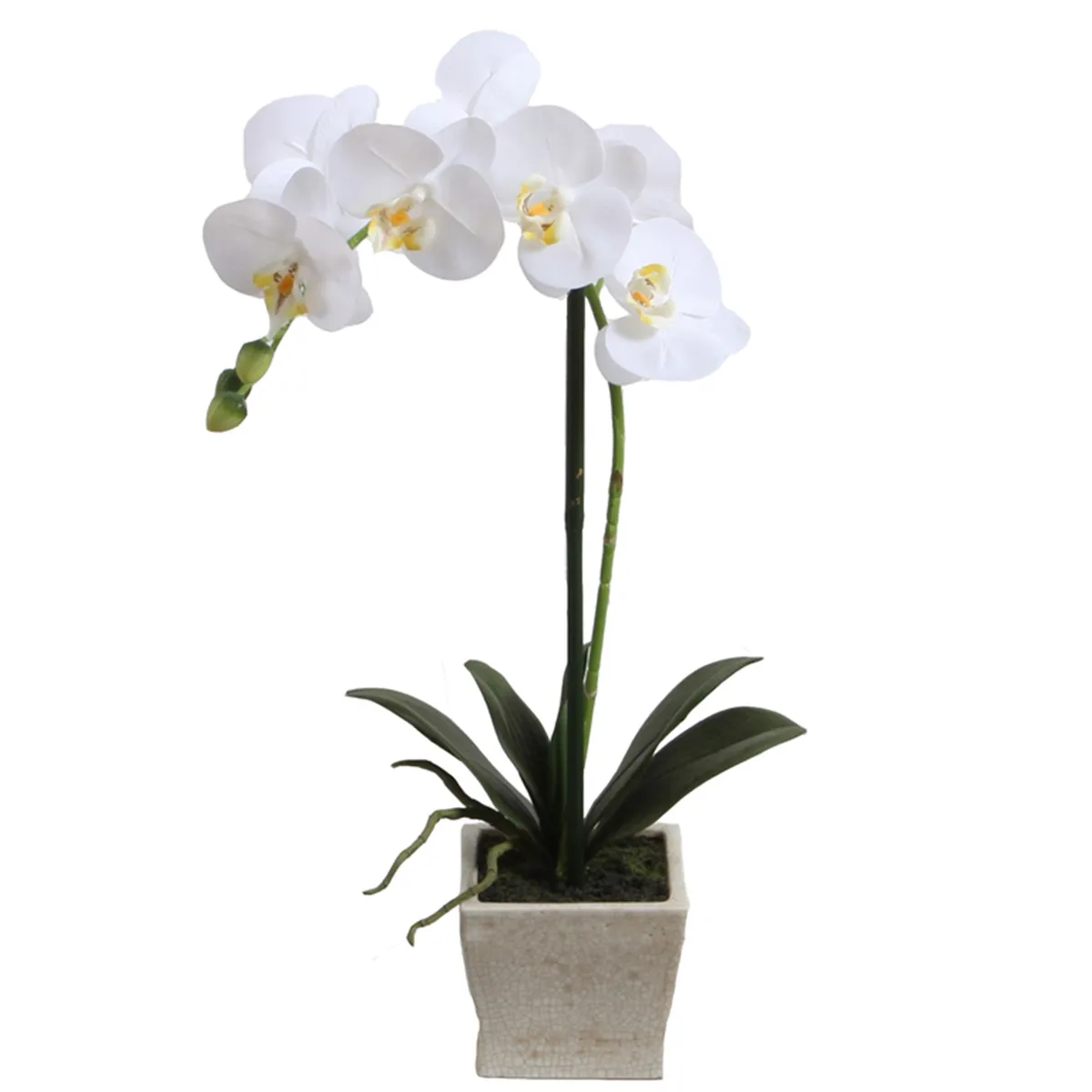 VADELL - Orquídea blanca 51 cm en macetero cuadrado de cerámica Vadell Home
