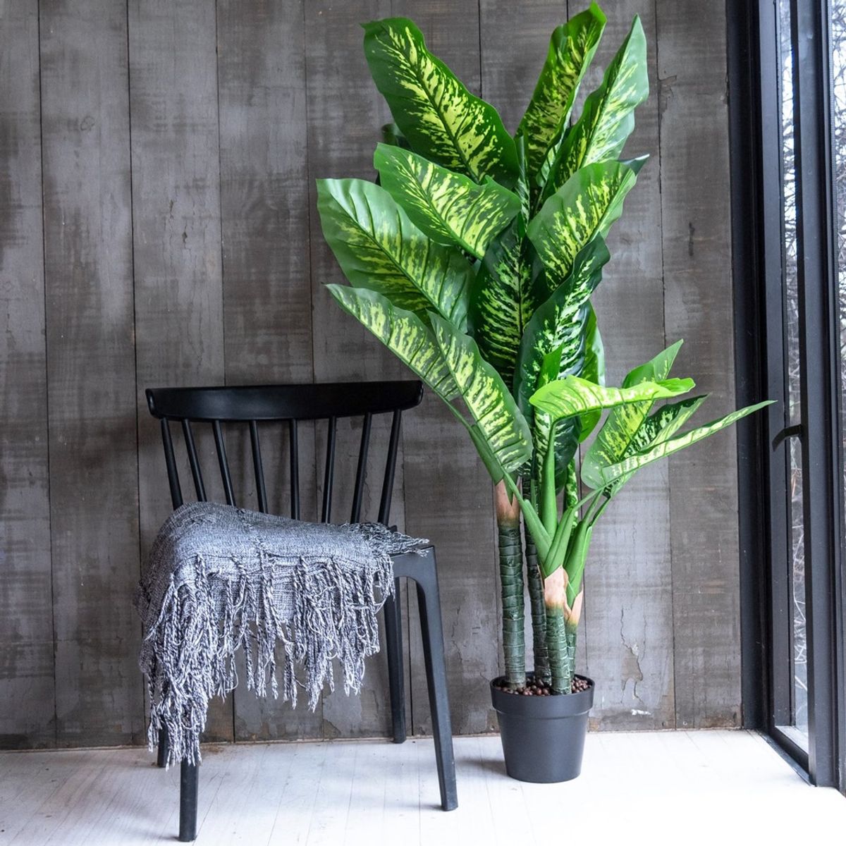 VADELL - Difenbaquia de 150 cm Vadell Home