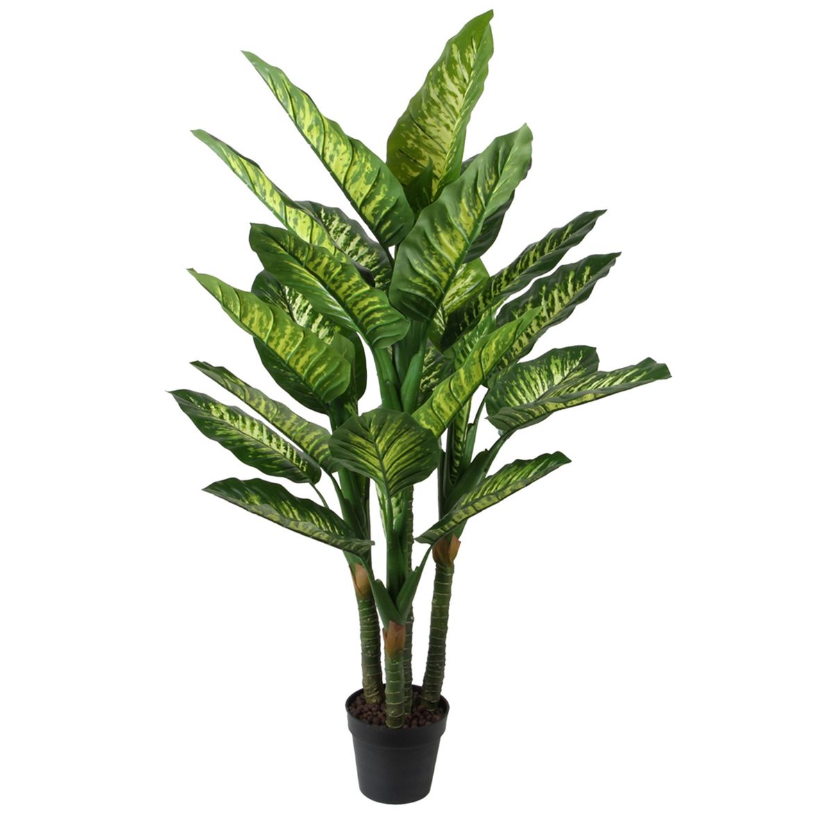 VADELL - Difenbaquia de 150 cm Vadell Home