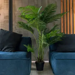 VADELL - Palmera Areca de 175 cm Home