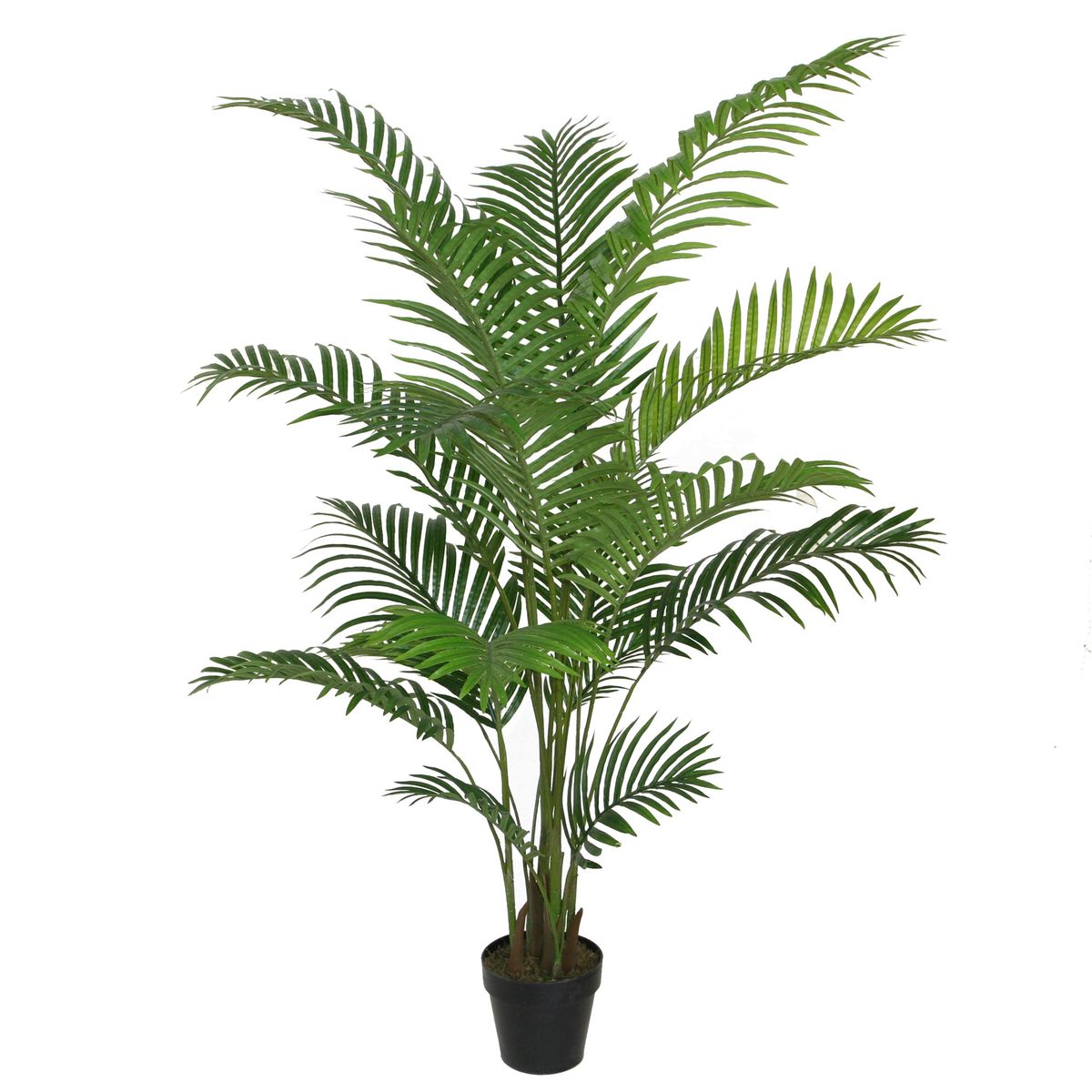 VADELL - Palmera Areca de 175 cm Vadell Home