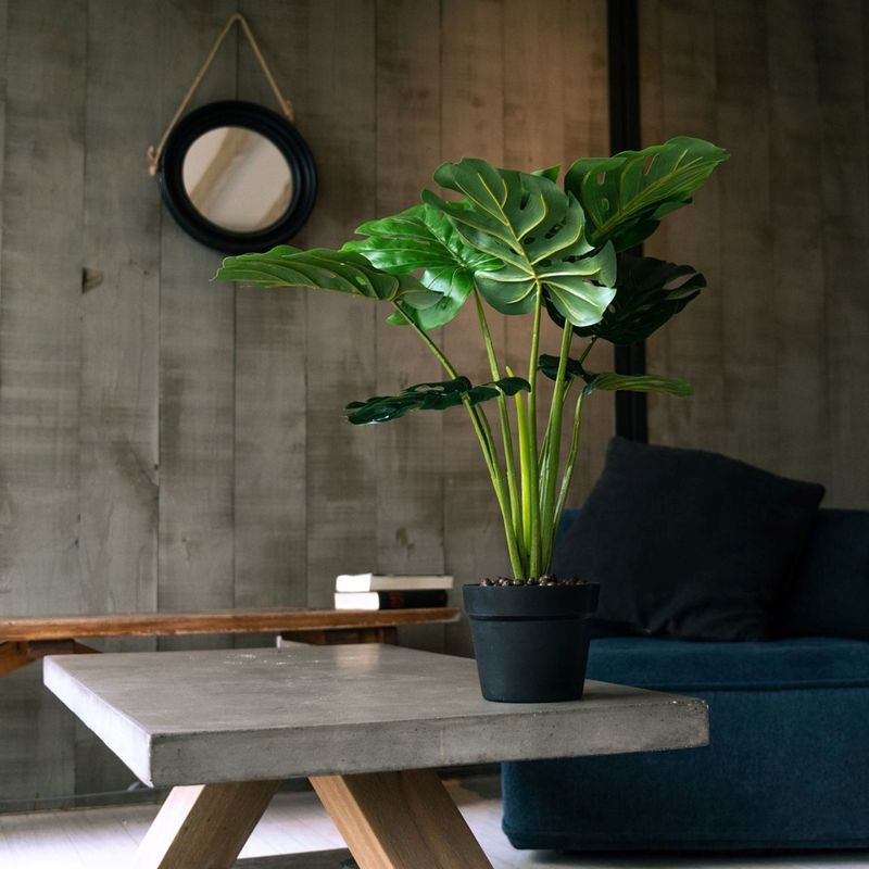 VADELL - Monstera de 60 cm Vadell Home