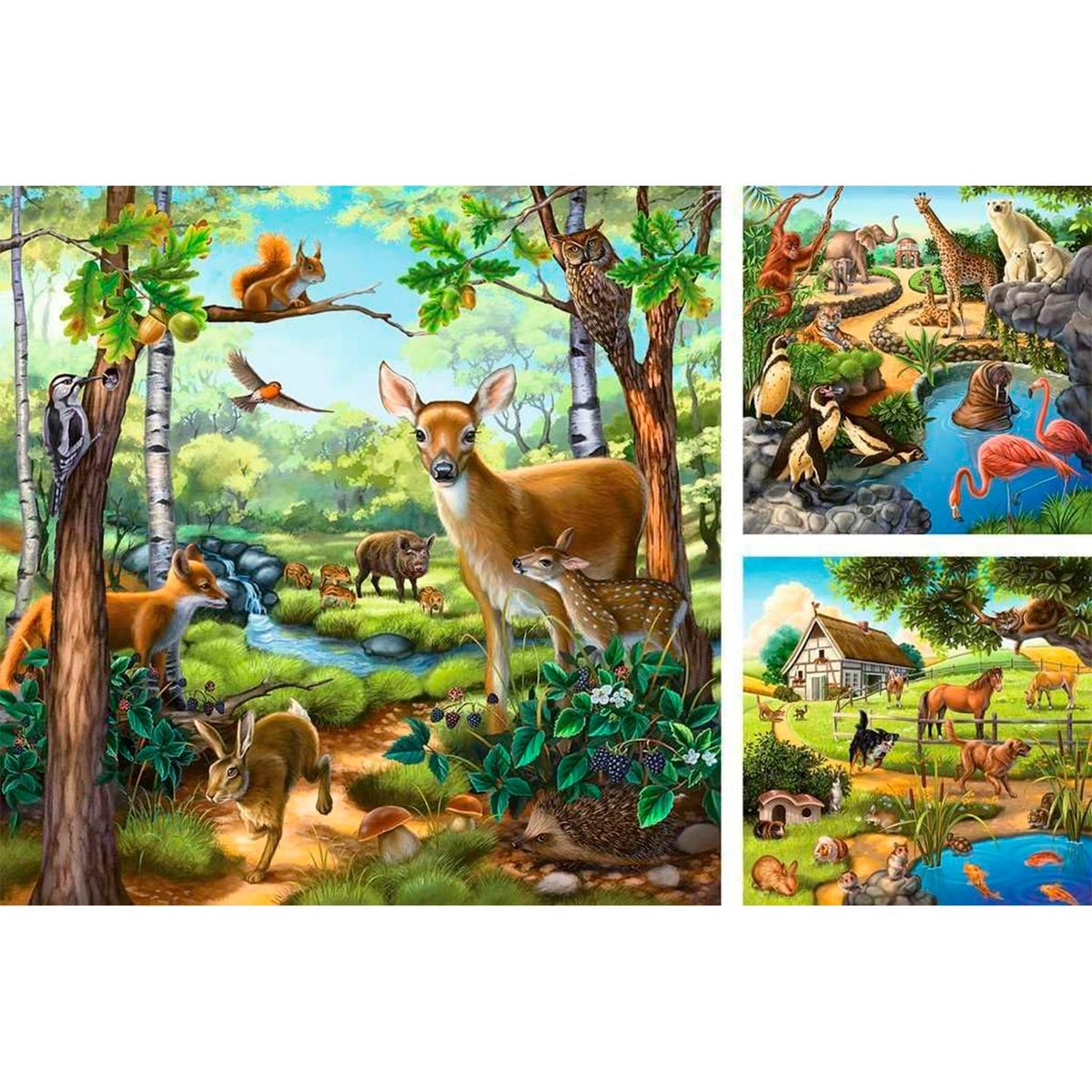 RAVENSBURGER - Caramba Puzzle Bosque, Zoologico, Campo 3X49 Ravensburger