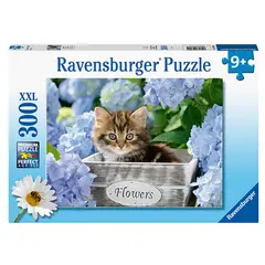 RAVENSBURGER - Caramba Puzzle Xxl Gatito En El Canasto 300 Piezas