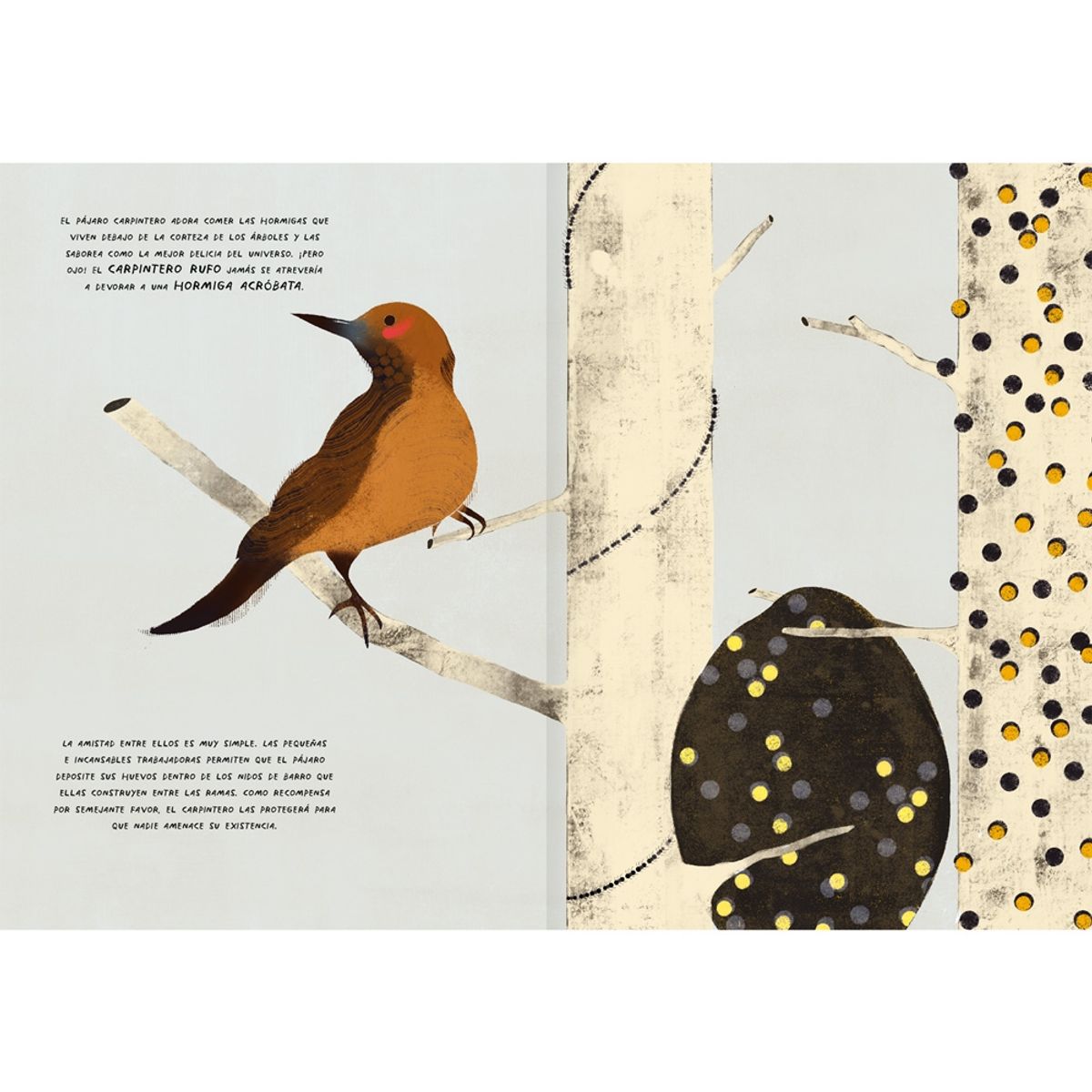 AMANUTA - Grandes amigos por naturaleza