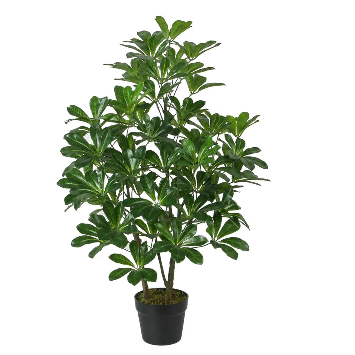 VADELL - Cheflera hoja verde de 90 cm Vadell Home