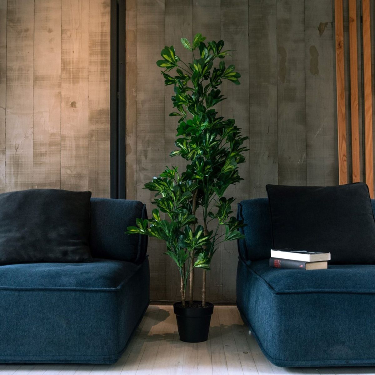 VADELL - Cheflera hoja matizada de 150 cm Vadell Home