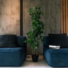 VADELL - Cheflera hoja matizada de 150 cm Home