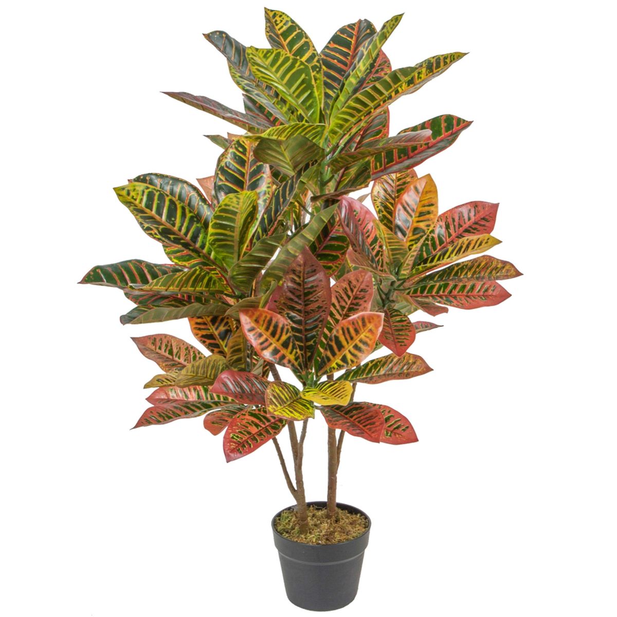 VADELL - Crotón de 90 cm Vadell Home