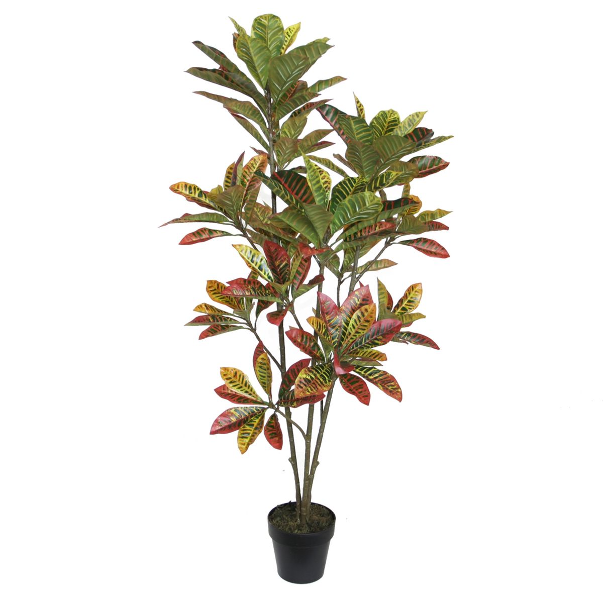 VADELL - Crotón de 160 cm Vadell Home