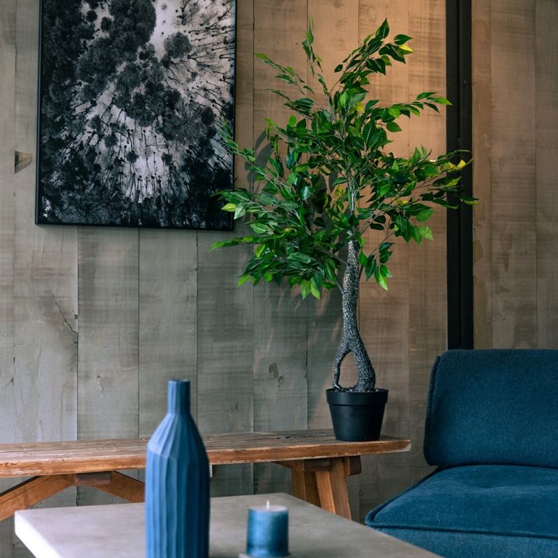 VADELL - Ficus Benjamina de 120 cm con doble tronco Vadell Home