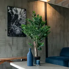 VADELL - Ficus Benjamina de 90 cm Home