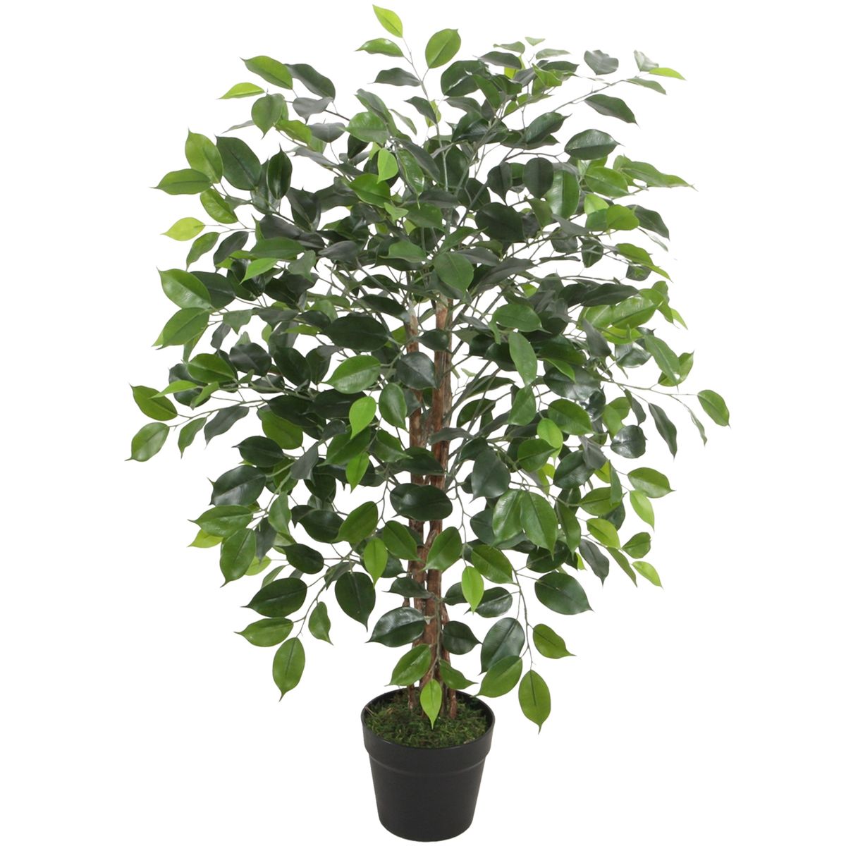 VADELL - Ficus Benjamina de 90 cm Vadell Home