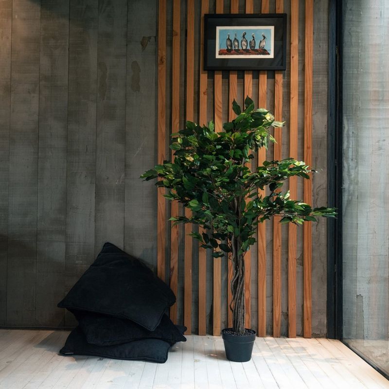 VADELL - Ficus Benjamina de 120 cm Vadell Home