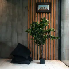 VADELL - Ficus Benjamina de 120 cm Home